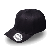 Pro Style Fitted Cap